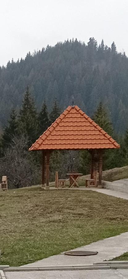 Laki Apartman Zaovine Luaran gambar