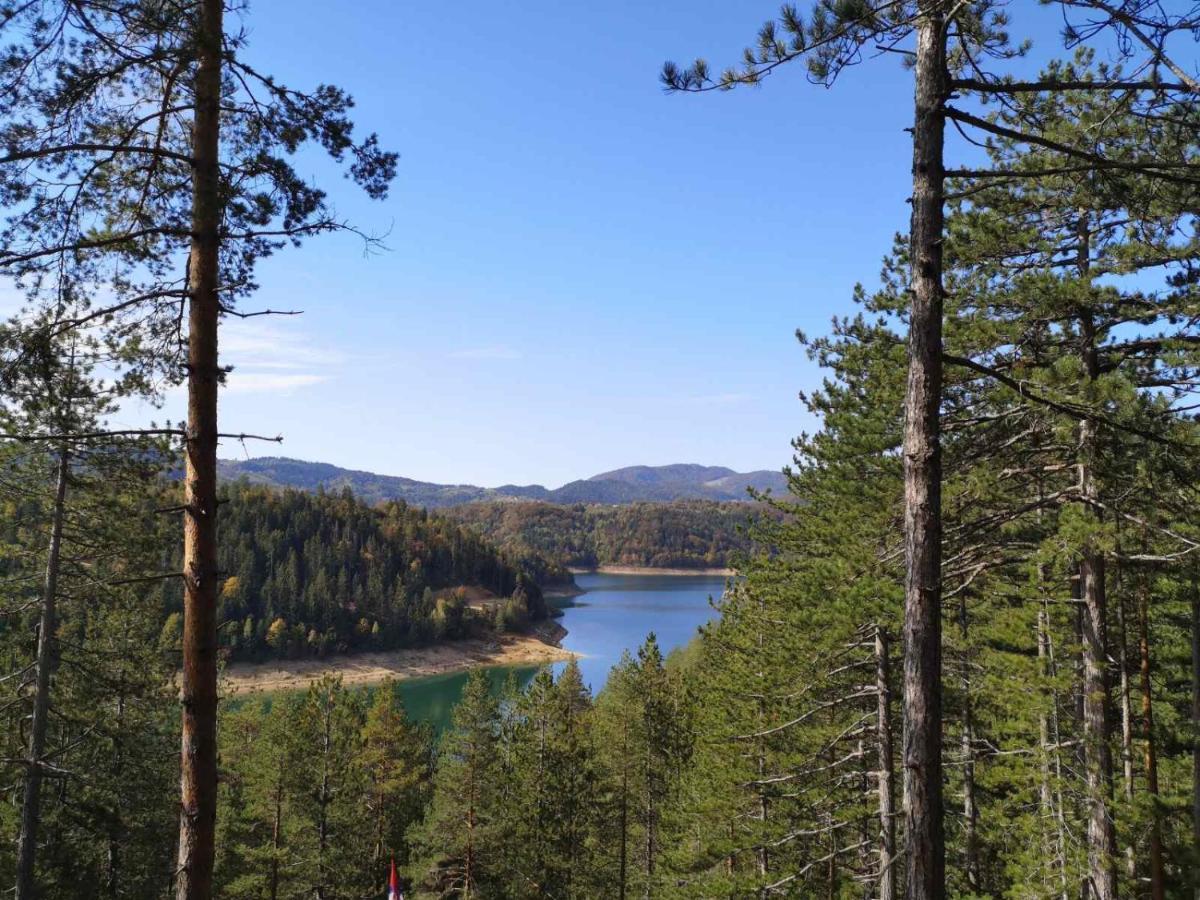 Laki Apartman Zaovine Luaran gambar