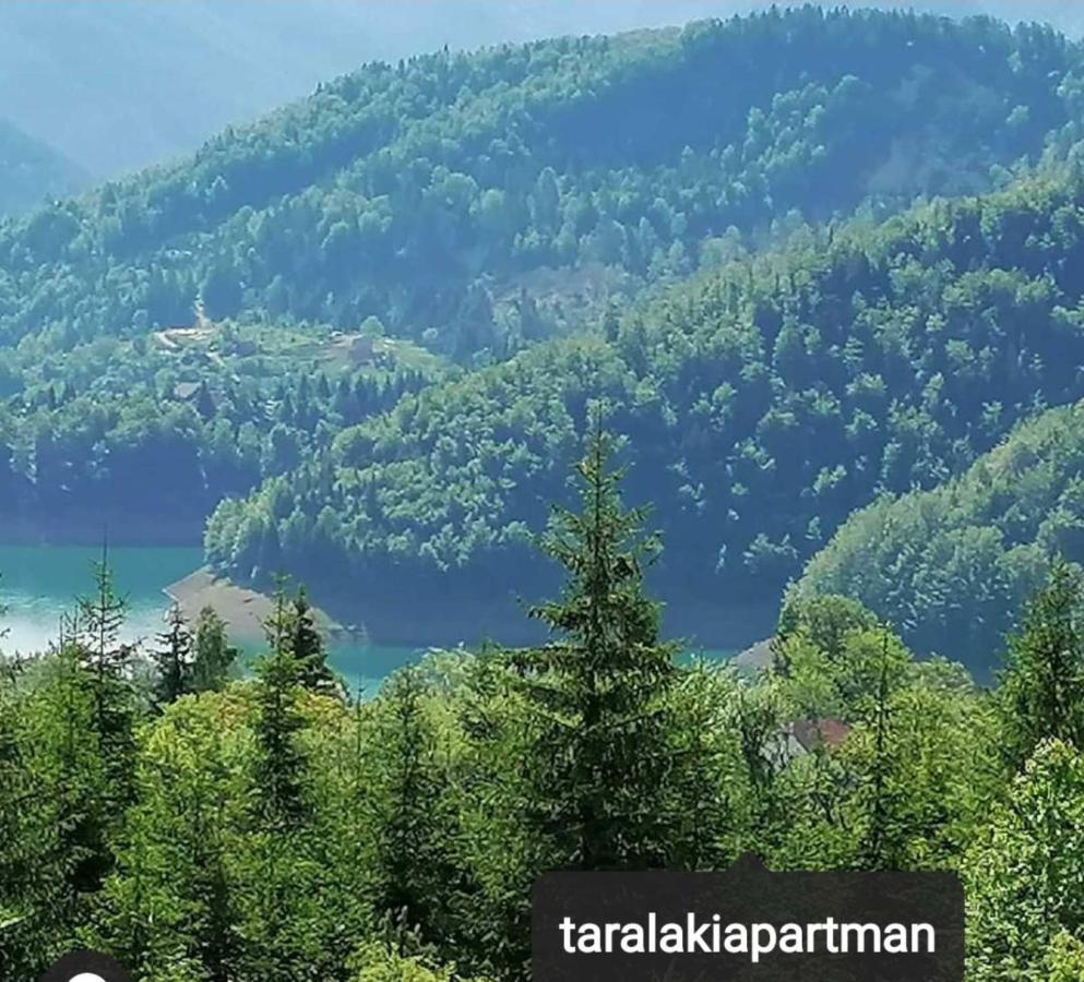 Laki Apartman Zaovine Luaran gambar